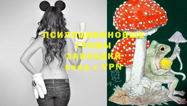 молекула духа Балабаново