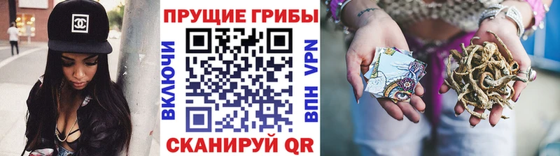 где найти наркотики  Пыталово  Галлюциногенные грибы GOLDEN TEACHER 